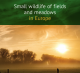 ​Small wildlife of fields and meadows in Europe, March 2021