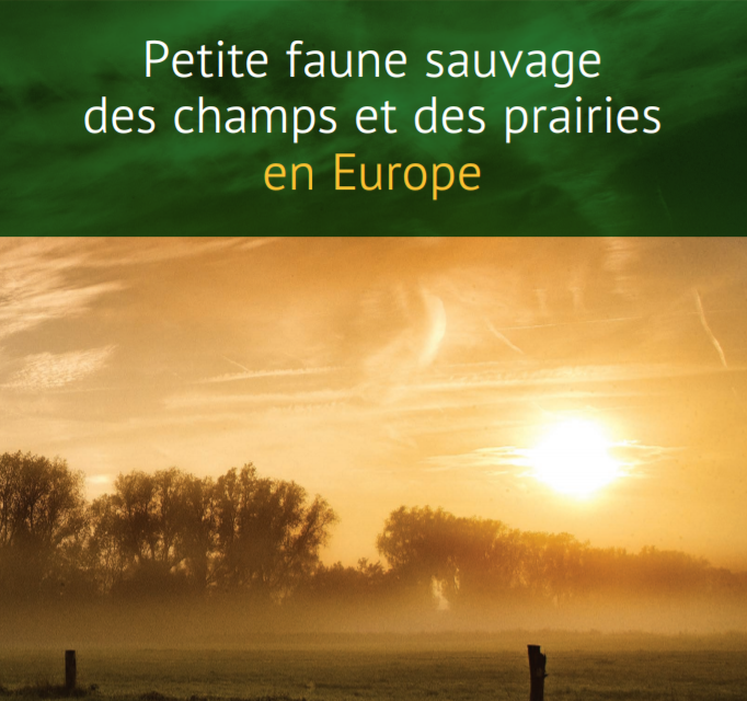 petite_faune_sauvage_des_champs_et_des_prairies_en_europe_2-3