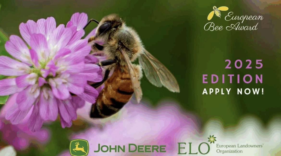 European Bee Award 2025