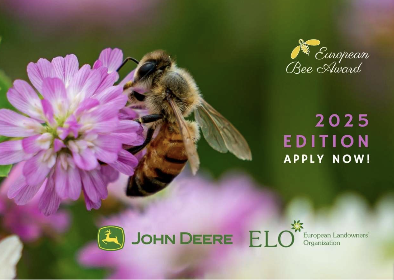 European Bee Award 2025