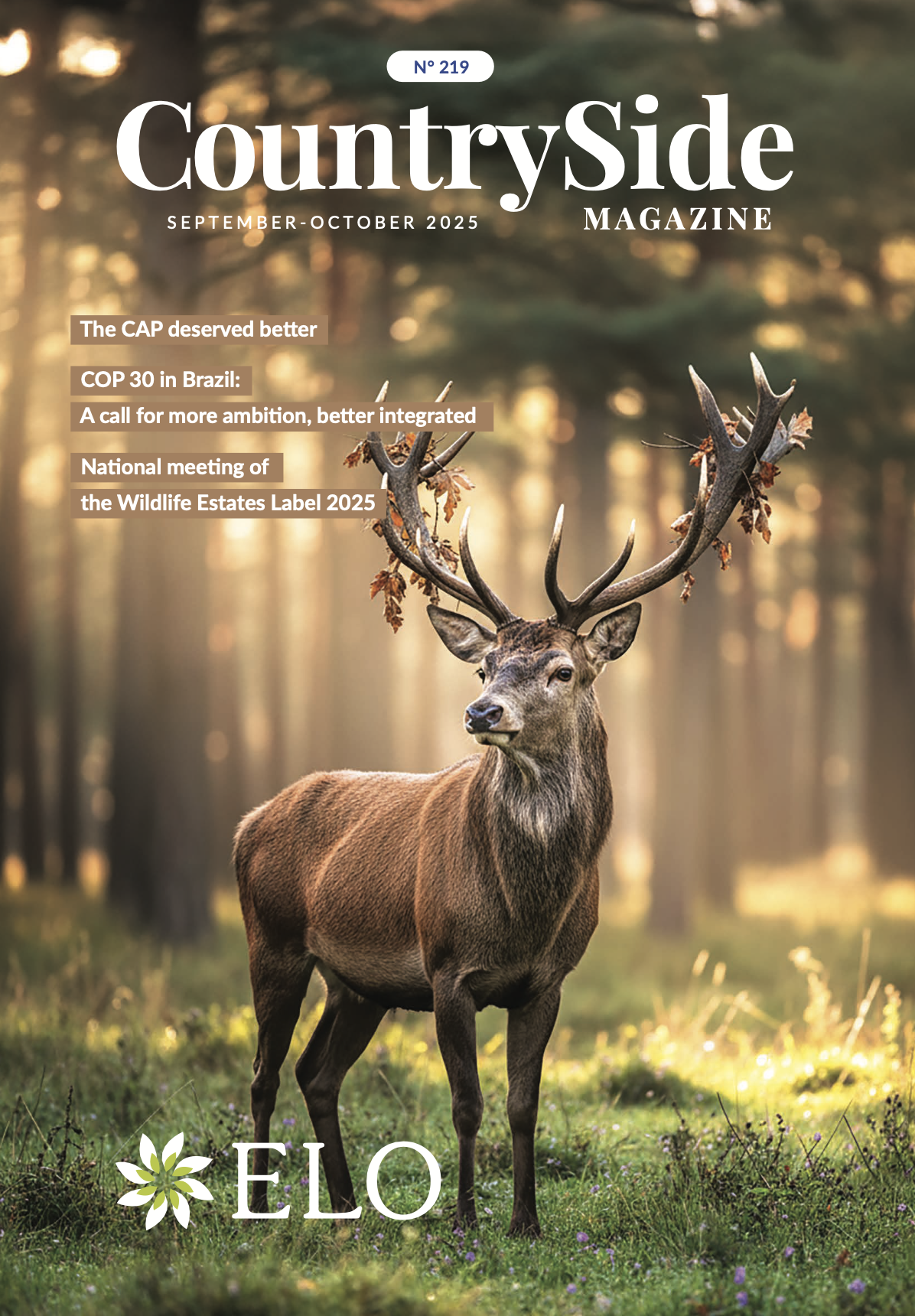 Screenshot 2025-10-28 alle 12.30.54